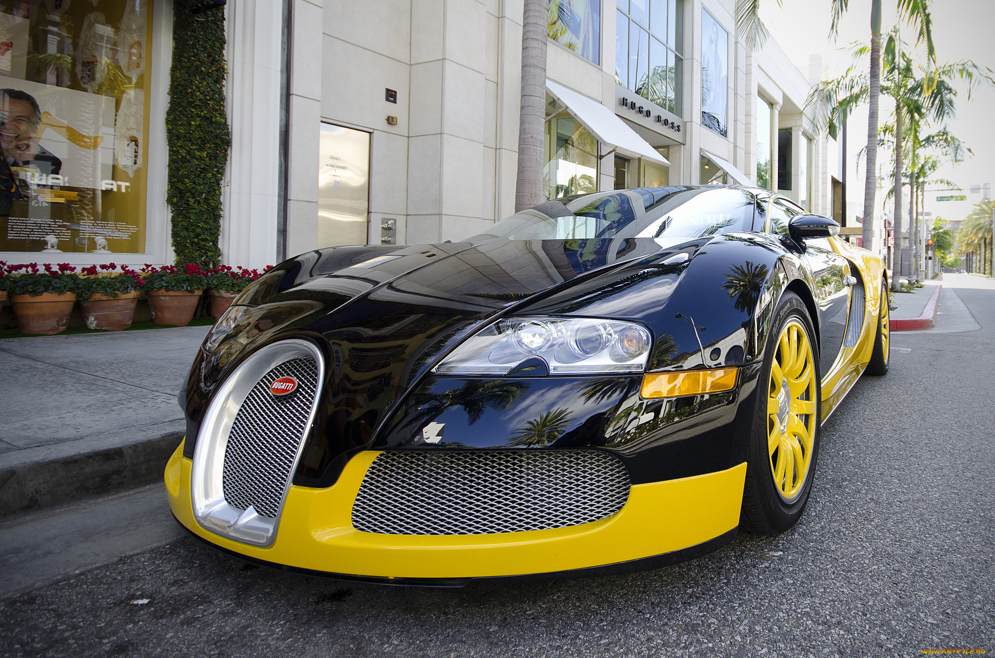 bugatti veyron, ,    , , 